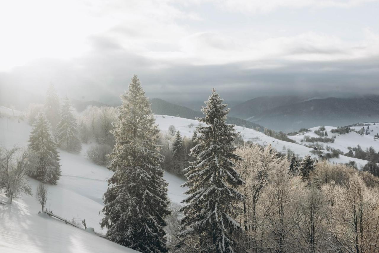 Bed and Breakfast Дбайлива Ципа Mizhhirya  Exteriér fotografie